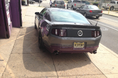 back-view-mustang